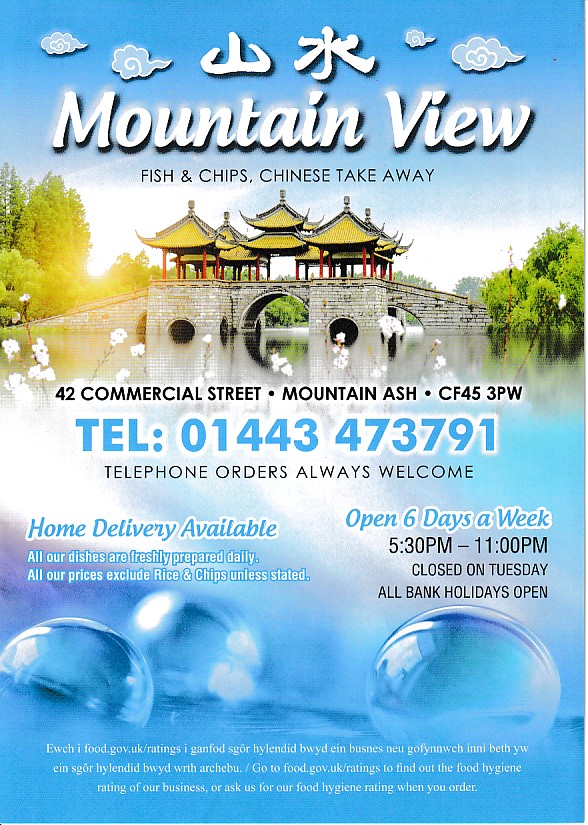 Menu of Mountain View, Chinese Takeaway in Mountain Ash